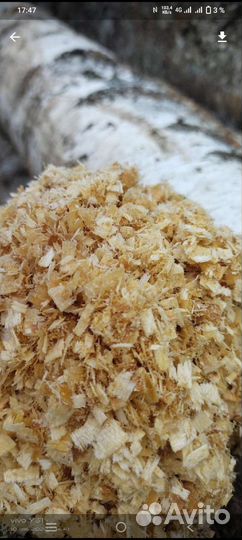 Отдам бесплатно опилки