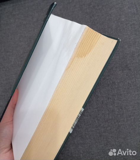 Книга Жоэль Диккер