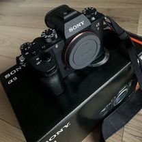 Беззеркальный фотоаппарат sony a9