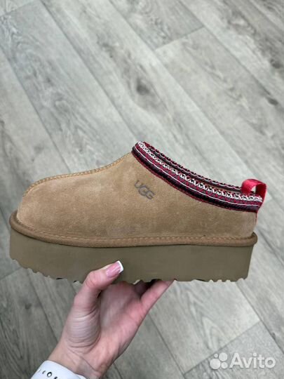UGG Tazz - Chestnut оригинал