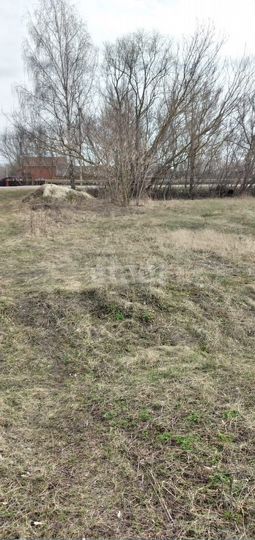 Участок 31 сот. (ИЖС)