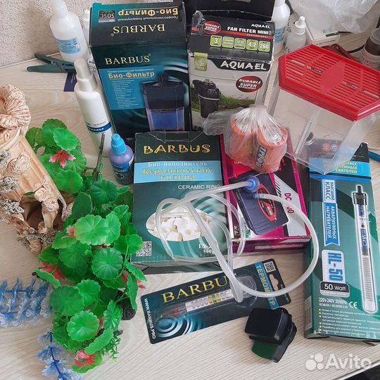 Аквариумистика