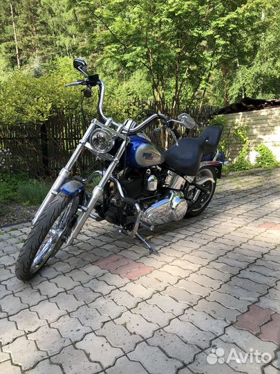 Harley Davidson Softail Custom 2008