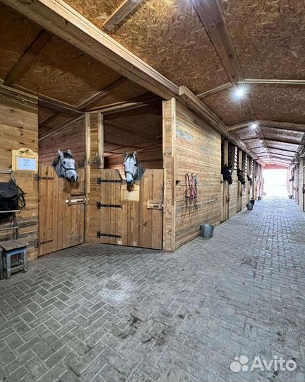 Конные прогулки, верховая езда,фотосессии