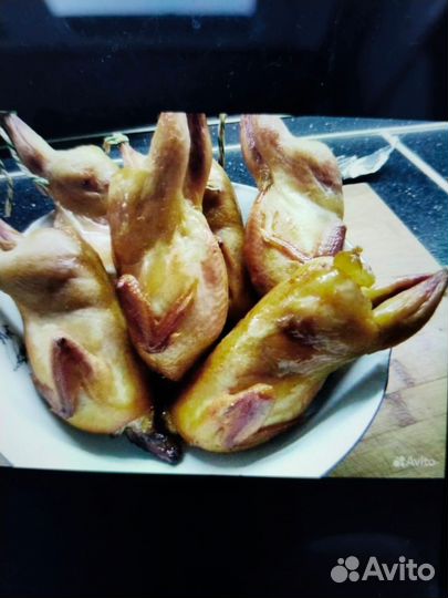 Коптильня+сушильно вялочный шкаф, Москит