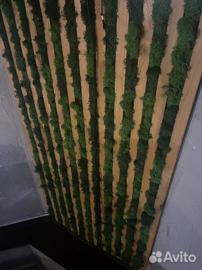 Косметический ремонт помещений