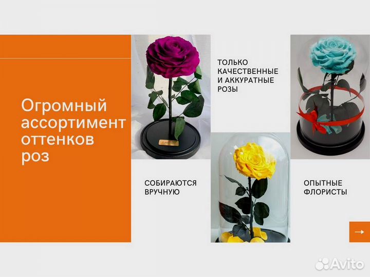 Роза в колбе. Вечная