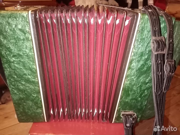 Гармонь нарач 2