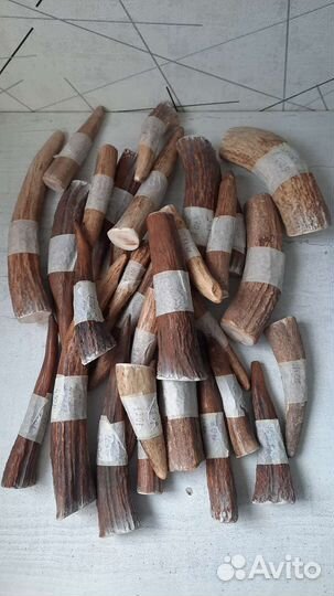 Грызуны лакомство для собак из рогов лося