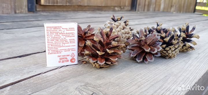 Шишки сосновые