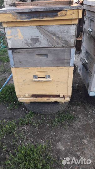 Улей для пчел бу