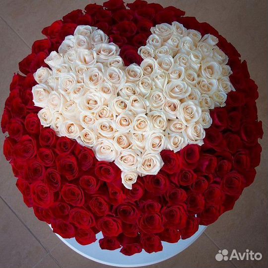 Цветы Розы 25 51 101 Розы