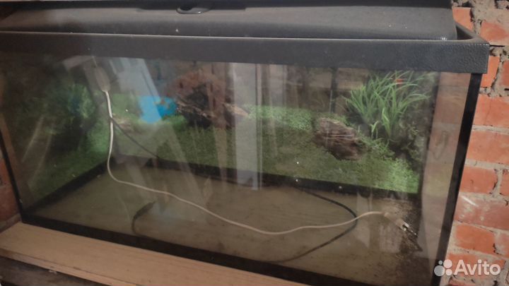 Аквариум 75л