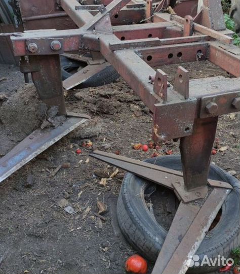 Продам поросят