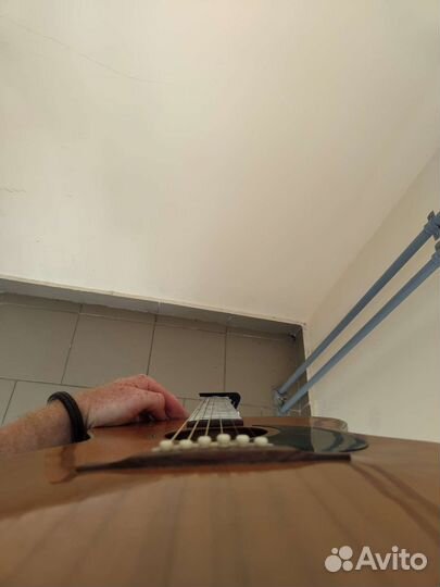 Акустическая гитара Morris F-15