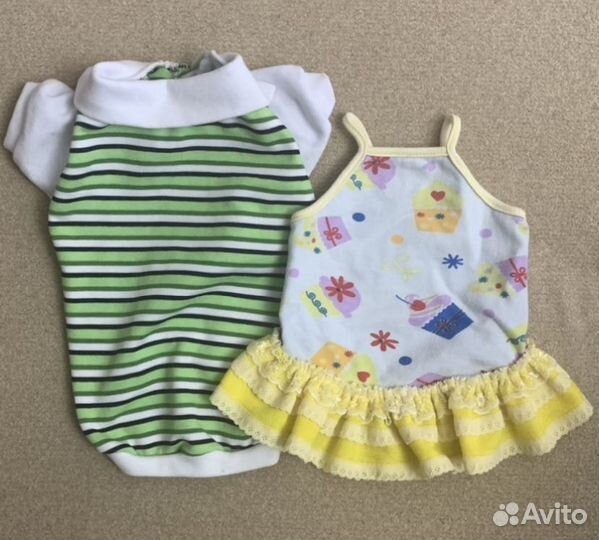 Одежда для маленьких собак