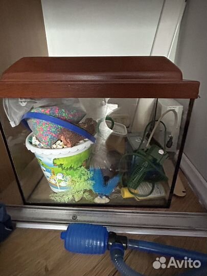 Аквариум