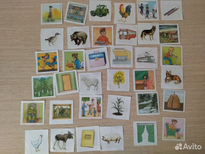 Окружающий мир 1 класс