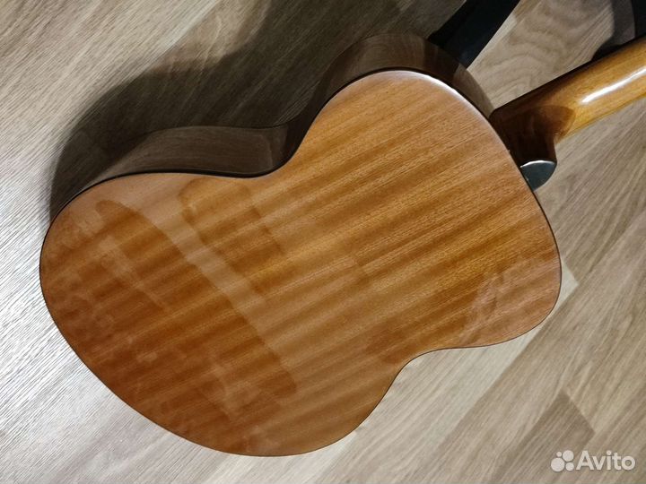 Augusto Belle-1 акустическая