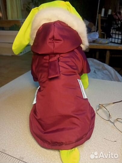 Одежда для собак