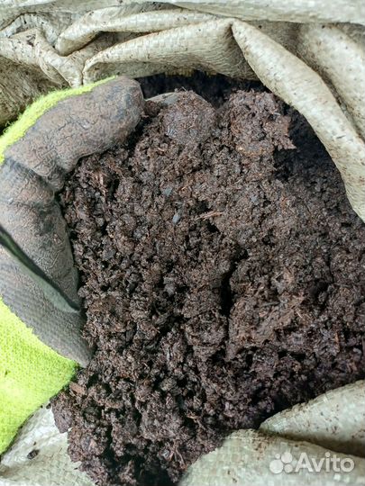Чернозем,перегной, конский коровой навоз