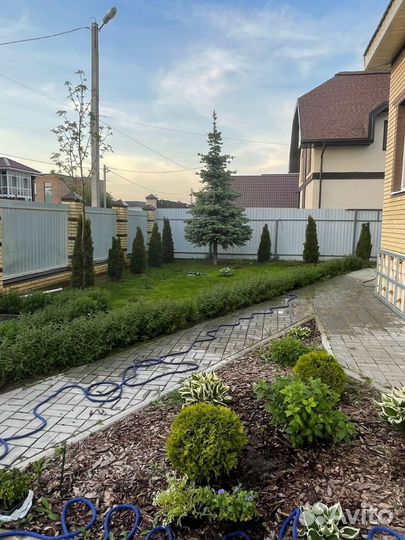 Рулонный газон под ключ