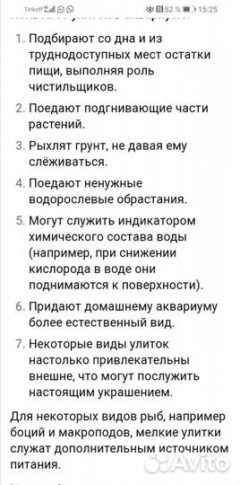 Улитки аквариумные ампулярии