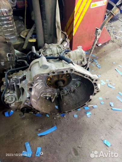 Nissan teana j31 АКПП