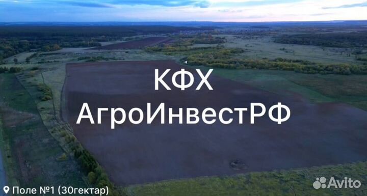 Инвестиции в действующий бизнес