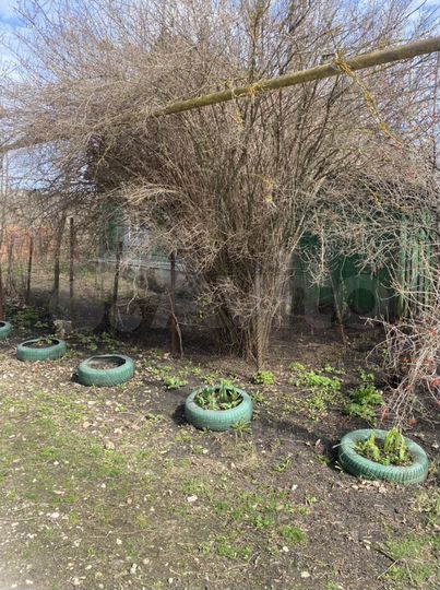 Дом 35 м² на участке 40 сот.