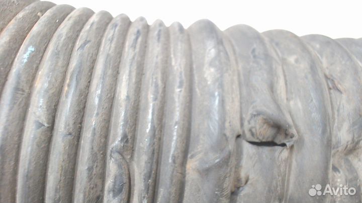 Амортизатор подвески Volkswagen Phaeton, 2004