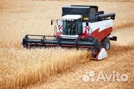 Аренда комбайна 2024