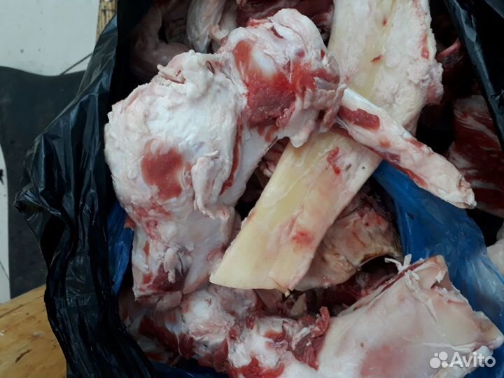 Мослы,нарезка собакам