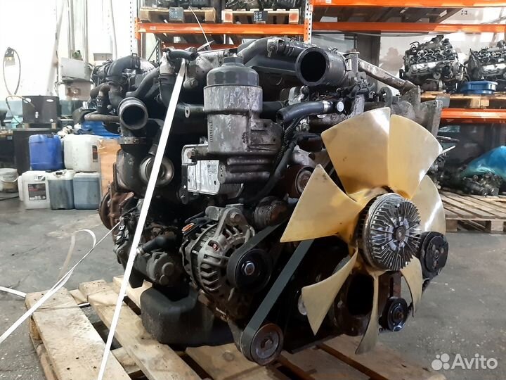 Двигатель Hyundai HD65 D4GA 3.9 л 137-170 л.c