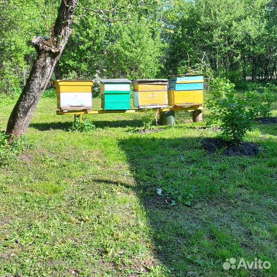 Улей для пчел бу