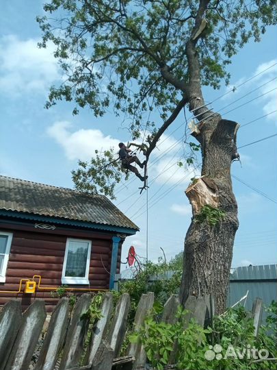 Удаление деревьев