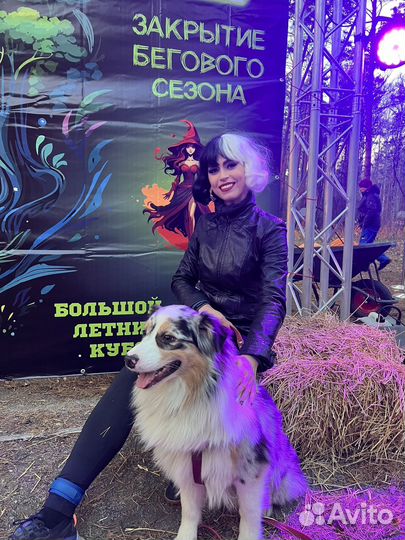 Парик круэлла