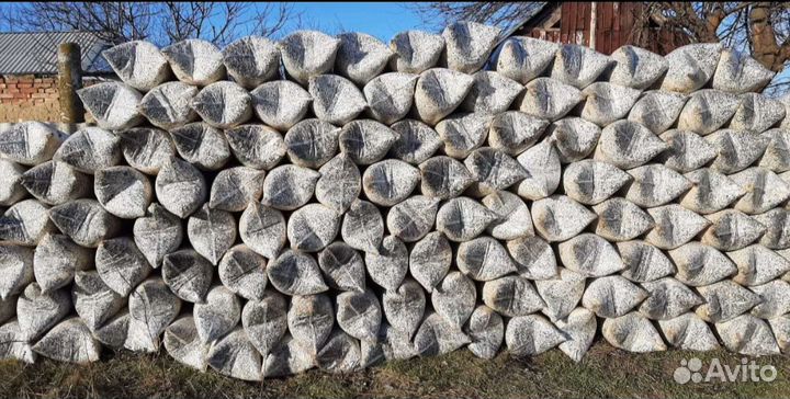 Грибные блоки вешенка