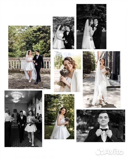 Свадебный фотограф, фотограф