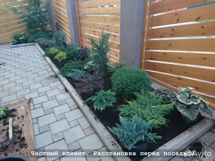 Озеленитель / Садовник