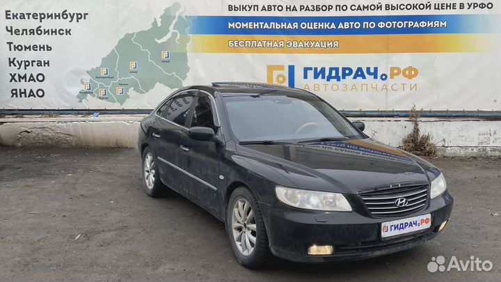 Накладка стекла переднего левого Hyundai Grandeur (TG) 82210-3L000