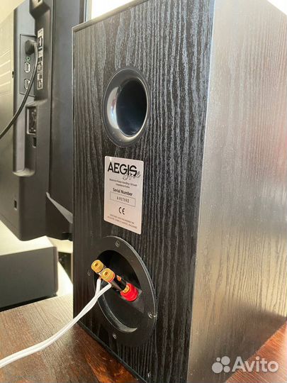 Acoustic energy aegis EVO one / Center