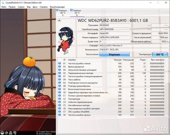 Жесткий диск Western Digital 6TB Purple