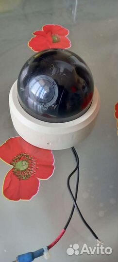 Камера видеонаблюдения купольная цветная