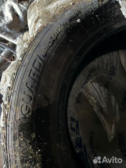 Nexen Winguard WinSpike WS62 23.5