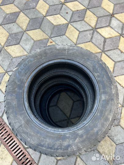 КАМА Alga (HK-531) 195/65 R15