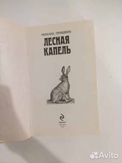 Лесная капель