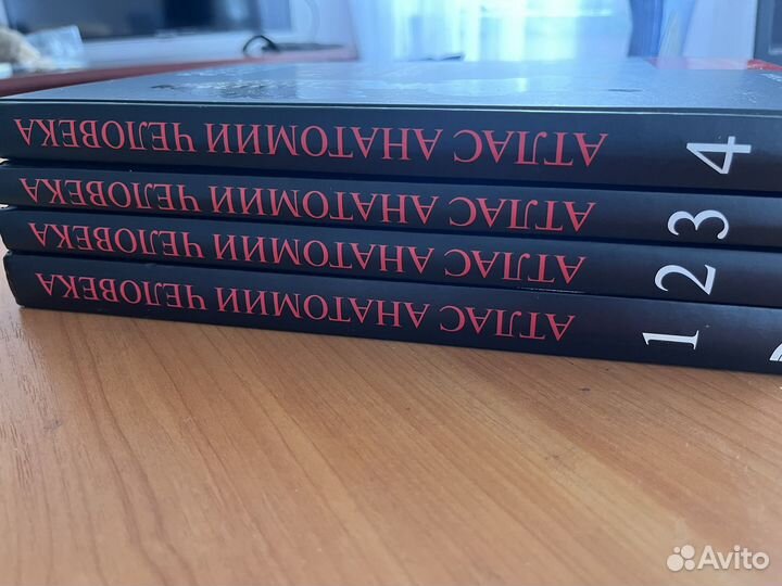 Атлас анатомии человека Синельников