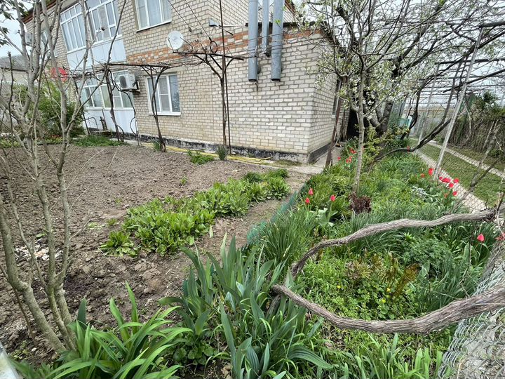 4-к. квартира, 86,7 м², 1/2 эт.