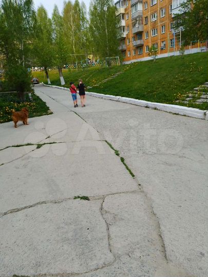 1-к. квартира, 31 м², 3/5 эт.